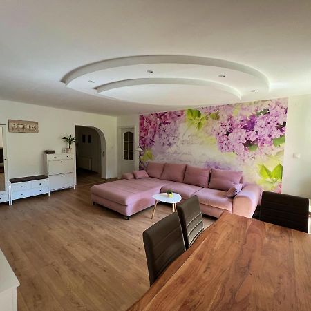 Apartman Stara Sasova بانْشكا بيشتريتْسا المظهر الخارجي الصورة