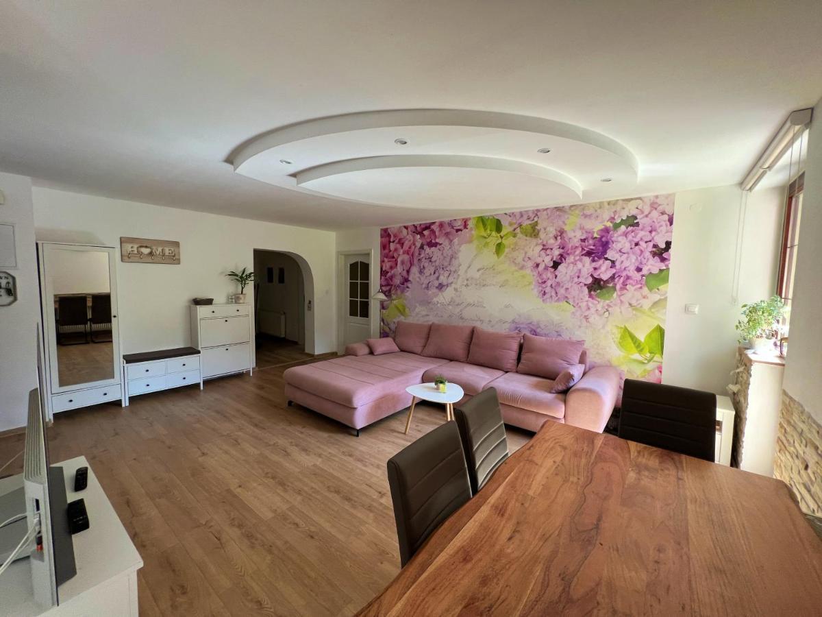 Apartman Stara Sasova بانْشكا بيشتريتْسا المظهر الخارجي الصورة